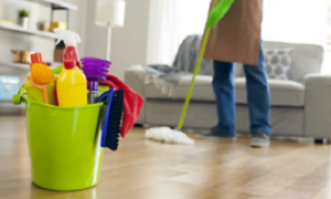 Home and Apartment Cleaning